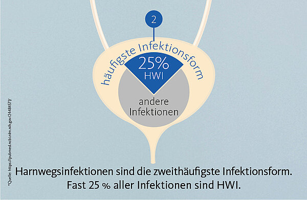 Harnwegsinfektionen sind die zweithäufigste Infektionsform. Fast 25 % aller Infektionen sind HWI.