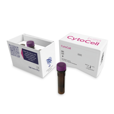FISH probes (CytoCell)