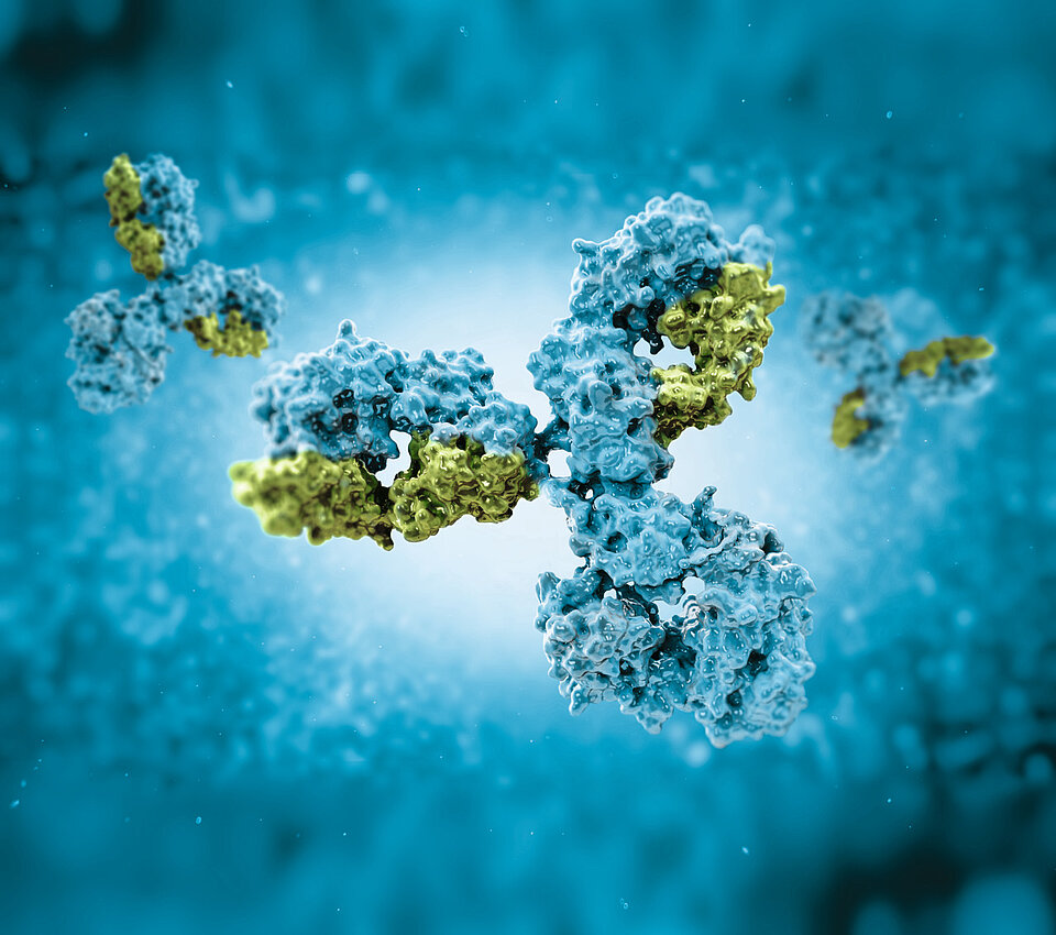 Immunologische Stuhltests