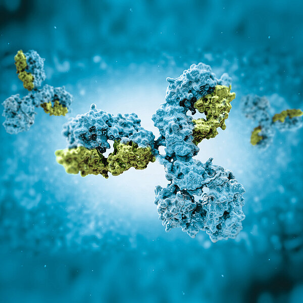 Immunologische Stuhltests