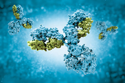Immunologische Stuhltests