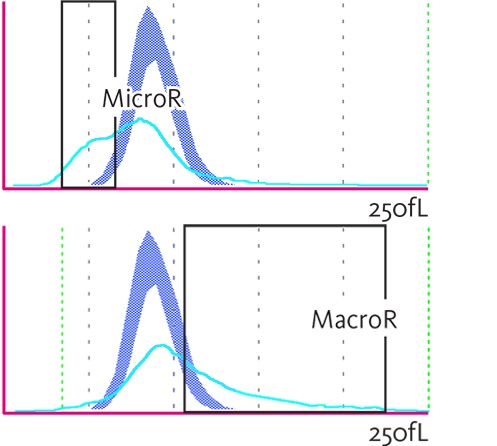 [.CH-fr Switzerland (french)] RBC histogram with indication of MicroR and MacroR