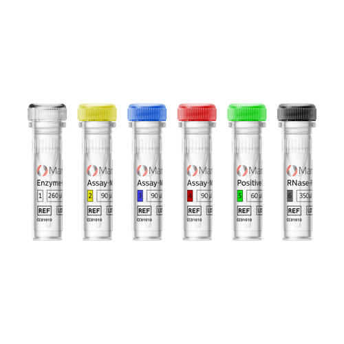 [.CH-de Switzerland (german)] MammaTyper Vials 